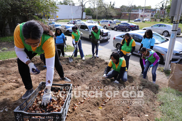 ASEZ, wmscog, world mission society church of god, maryland, baltimore, cleanup, flower planting, reduce crime, volunteerism, mother's street, Briscoe Park