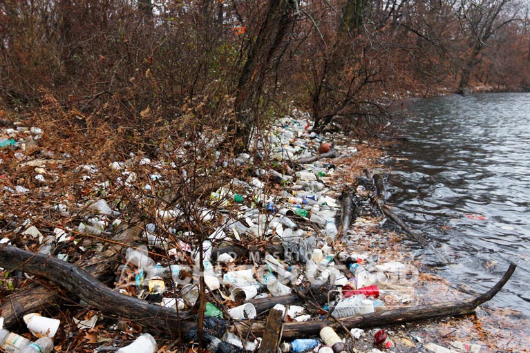 wmscog, world mission society church of god, new york, ny, long island, cleanup, asez, reduce crime, Hempstead lake state park, volunteerism, mother's street