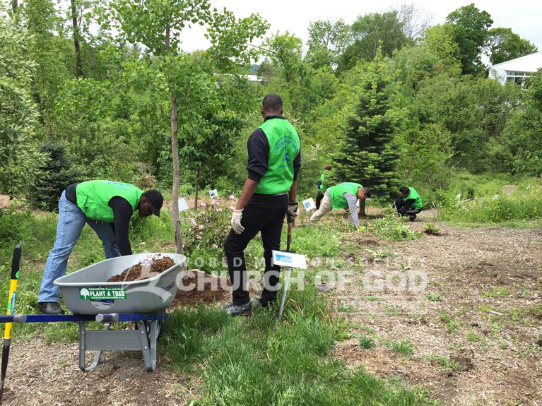 Dodge Park, cleanup, MA, Massachusetts, Boston, Springfield, volunteer, volunteerism, trash, garbage, environmental protection, environment, campaign, Worcester, tree initiative