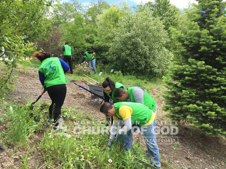 Dodge Park, cleanup, MA, Massachusetts, Boston, Springfield, volunteer, volunteerism, trash, garbage, environmental protection, environment, campaign, Worcester, tree initiative
