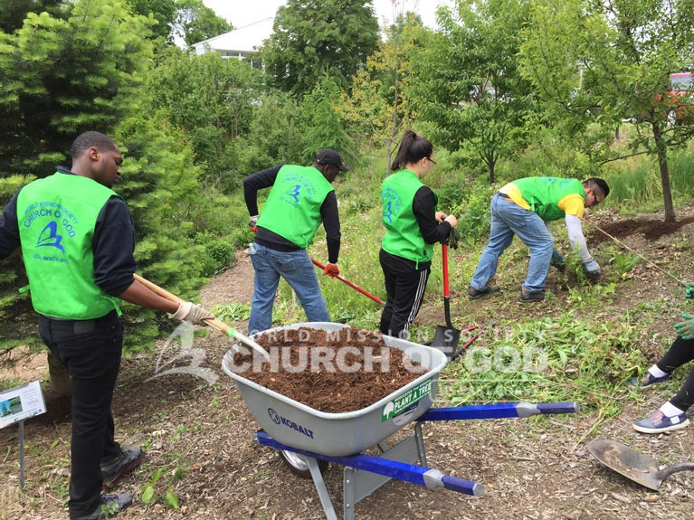 Dodge Park, cleanup, MA, Massachusetts, Boston, Springfield, volunteer, volunteerism, trash, garbage, environmental protection, environment, campaign, Worcester, tree initiative