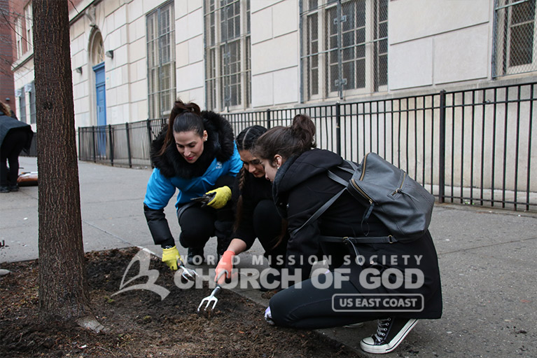 ASEZ, World Mission Society Church of God, WMSCOG, Brooklyn, NY, New York, reduce crime, UN, United Nations, Sustainable Development Goals, SDGs, tree stewardship, College, University