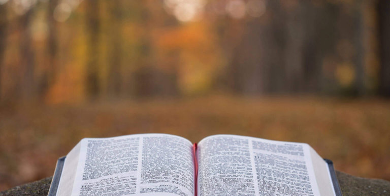 ahnsahnghong in the bible