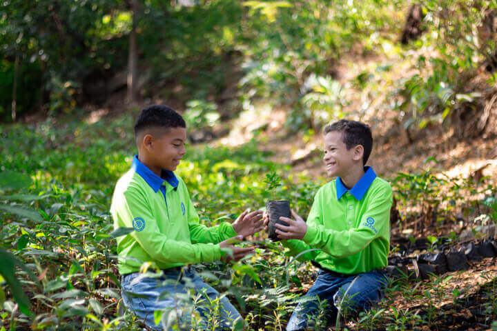 ASEZ STAR Green World