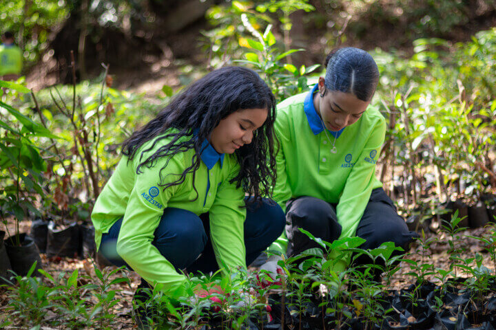 ASEZ STAR Green World