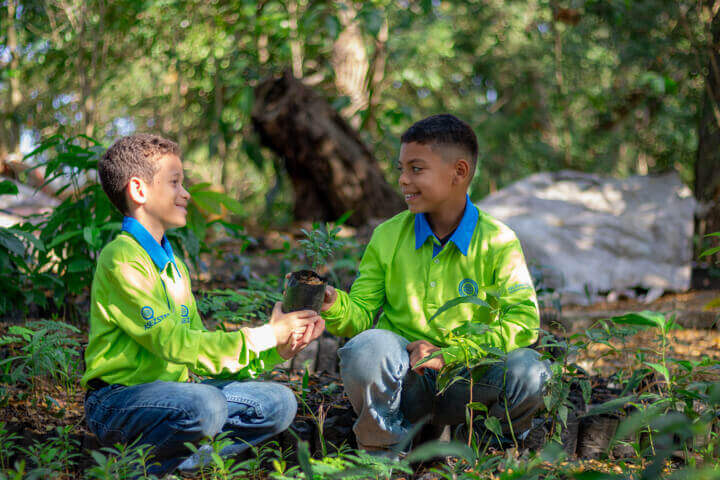 ASEZ STAR Green World