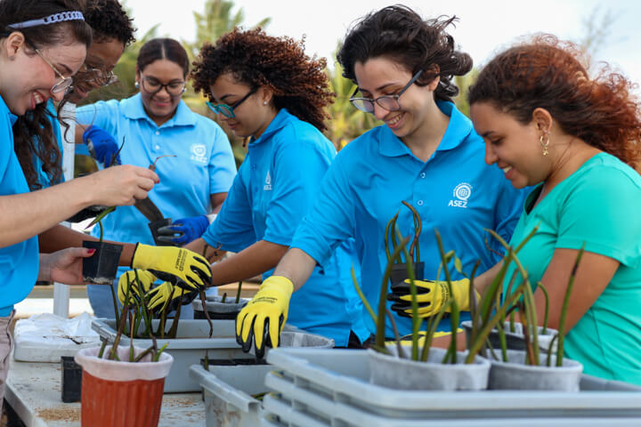 ASEZ Tree Planting at Piñones Beach in Puerto Rico
