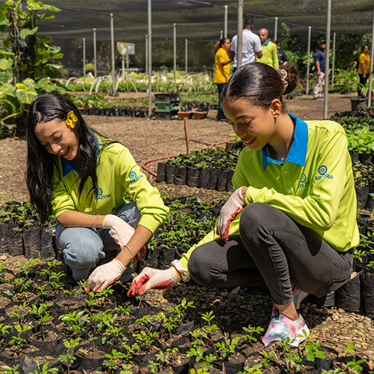 ASEZ STAR Planting
